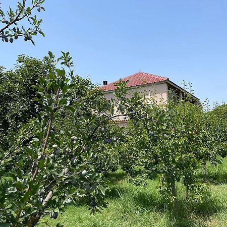 Villa Mance Берат Экстерьер фото