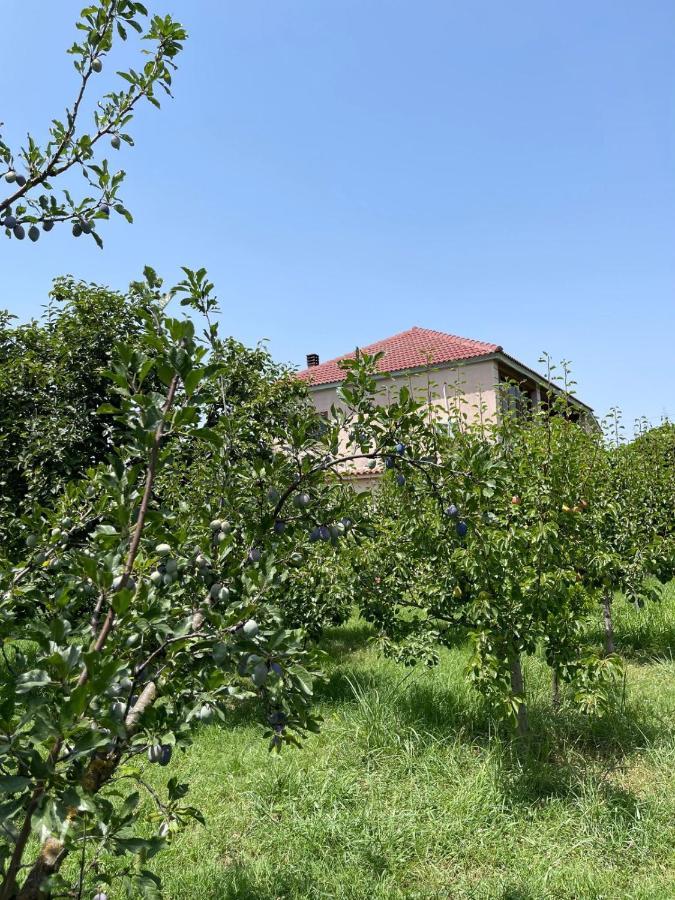 Villa Mance Берат Экстерьер фото