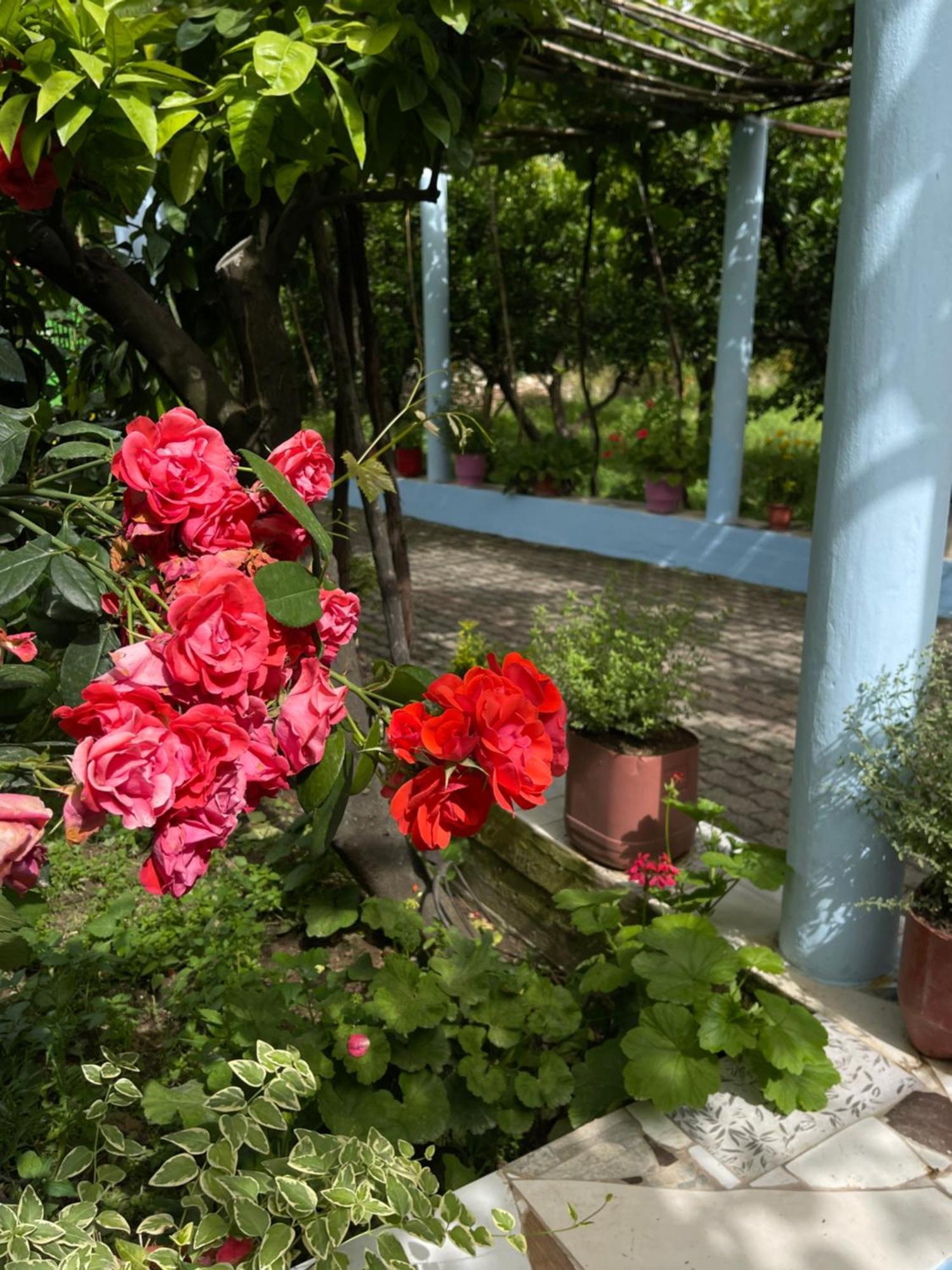 Villa Mance Берат Экстерьер фото